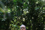headtrees1