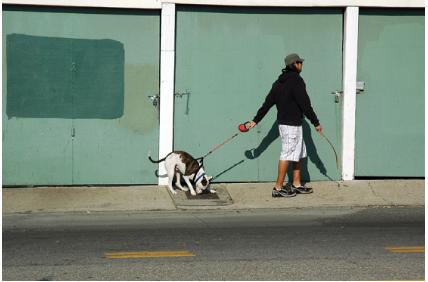 PhotoofManWalkingDog